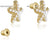 KRUCKEL Beaded Starfish Stud Earrings - 7019016